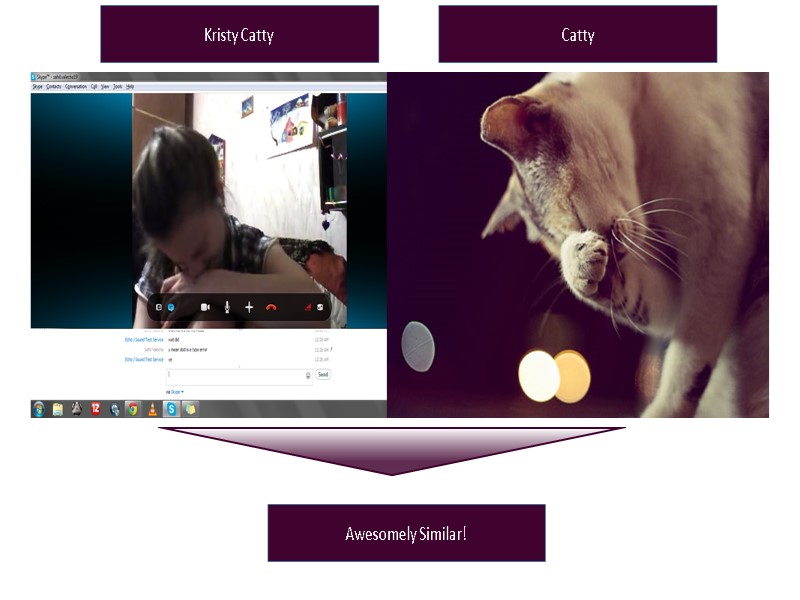 Catty Kristy Catty Awesomely Similar!